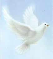 Obituary of Mary  Black McBryde