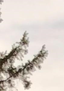 John Riley Obituary - Chicago, IL