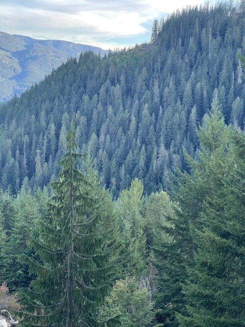 Obituary of Vincent Arnold Doyle