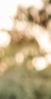 Shane Brooks Obituary - Virginia Beach, VA
