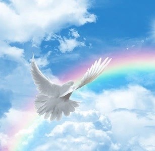 Obituary of Mary Ann Zehr