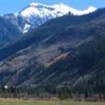 Obituary of Judith Fisher