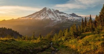 Obituary of Elisabeth Mary Wolf