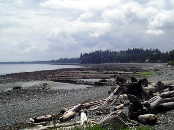 Avis de décès de Arthur John WILSON