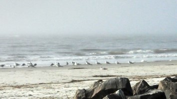 Obituary of Don Carter