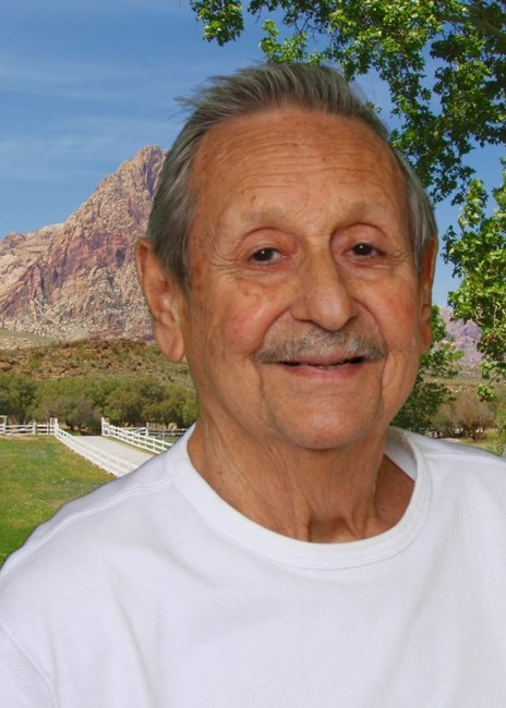 Obituary of Murray Weinstein