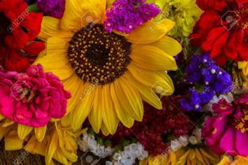 Obituary of Gertrude Cuomo