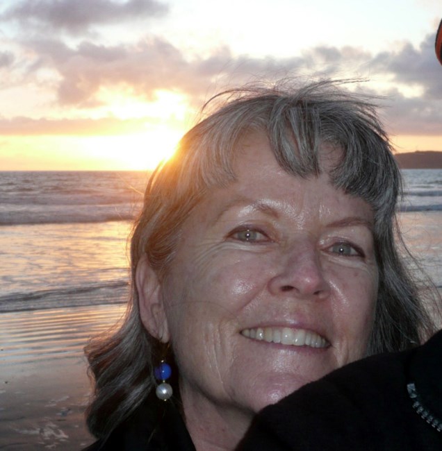 Obituary of Sherryl Erin (Penny) Lett