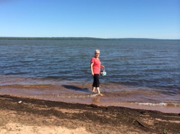 Obituary of Joyce Ann Reinmann