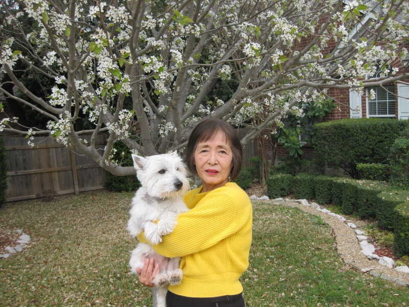 Obituary of Teruyo Colver Parrott