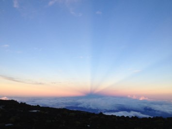 Obituary of Joanne Ferguson