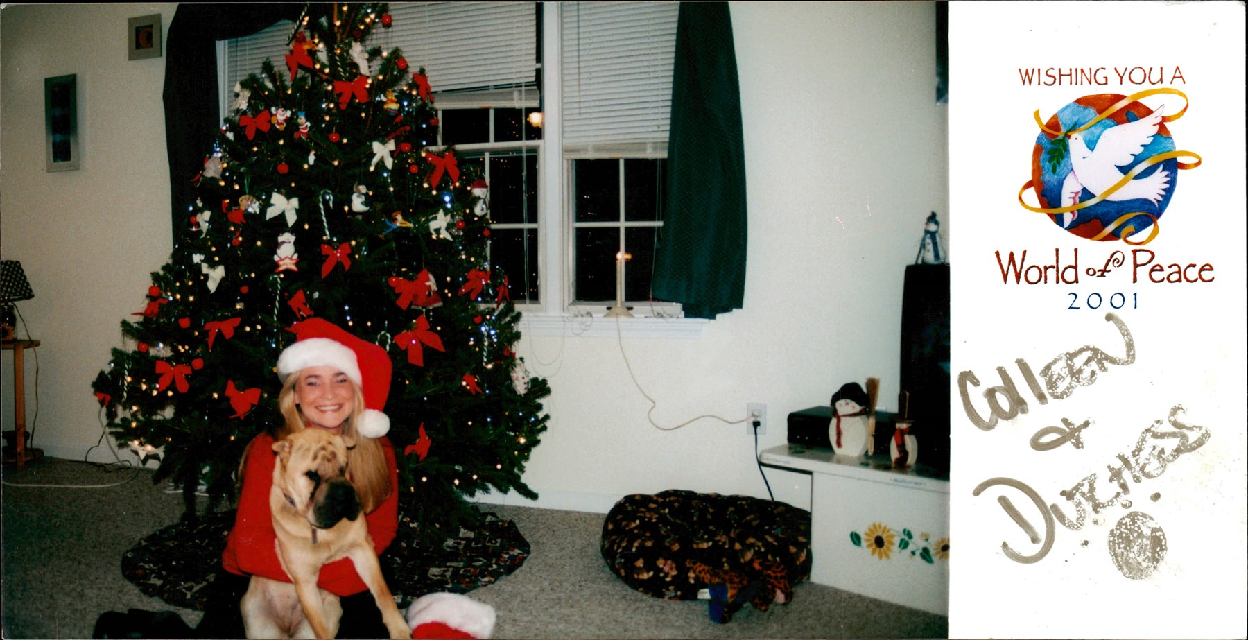 Obituary of Colleen Kerr