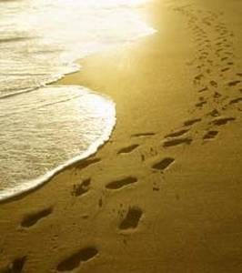 Obituary of Joseph Joey E. Cannon