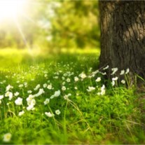 Avis de décès de Shirley Lynn Winters