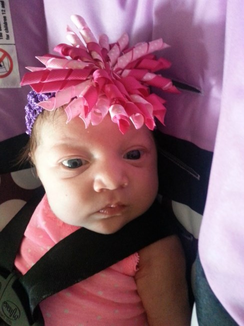 Obituary of Brooklynne Mae Willard