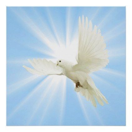 Obituary of Deanna Lynn Evanzo