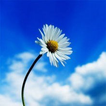 Obituary of Mary T. Ludwig