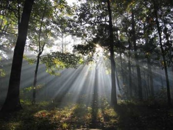 Obituary of Jerry Joseph Harris