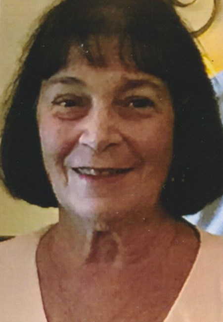 Obituary of Virginia "Ginny" Ann Sondheimer