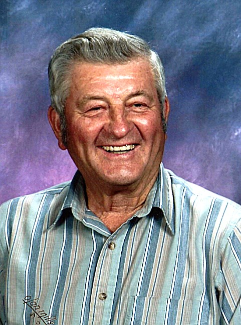 Obituary of Albert "Al" Bopp
