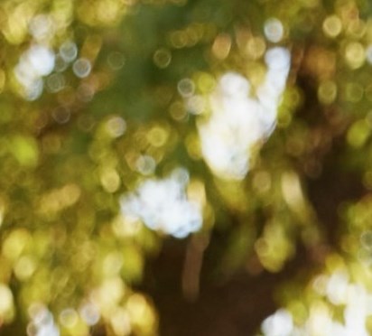 Paul Rabinowitz Obituary - Hamilton, OH