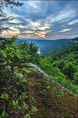 Obituary of Edward Eugene Golden Jr.