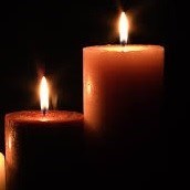 Obituary of Dawn Terry