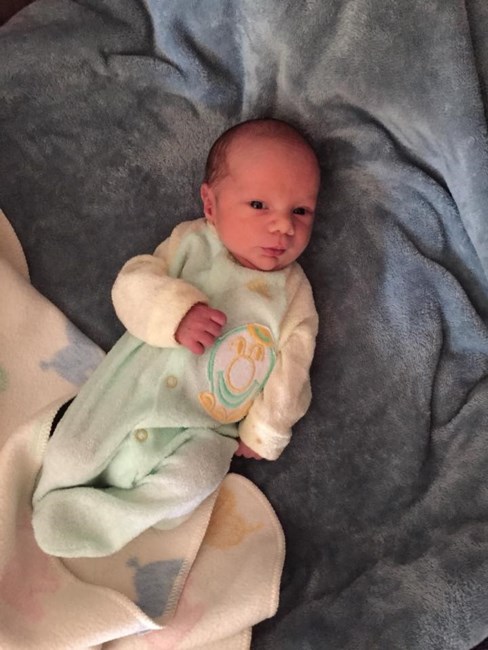 Obituary of Greyson Carr