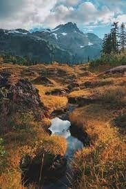 Obituario de Gerardo Varela