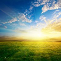 Obituary of Will Stuart Givens