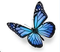 Obituary of Mary Ellen Haggerty