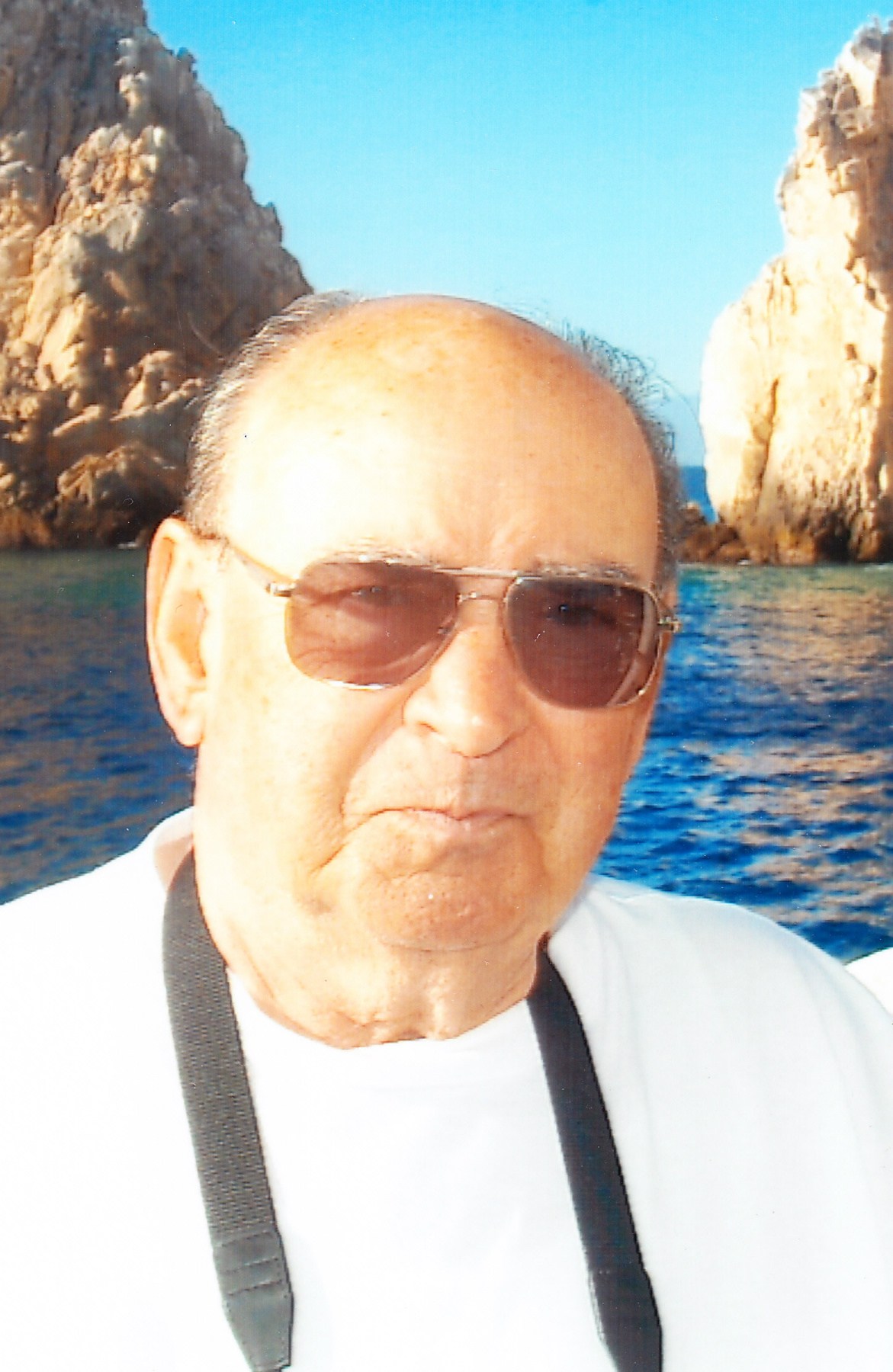 Manojlovic Obituary Beverly Hills, FL