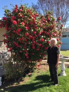 Obituary of Sofia L. Rodriguez