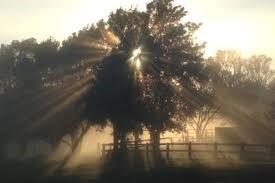 Obituario de William Charles Rowe