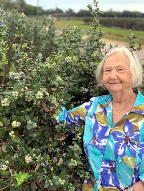 Obituary of Jennifer Ruth McCarty