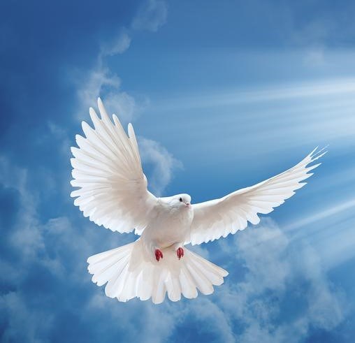 Obituary of Thomas William Edgeworth III