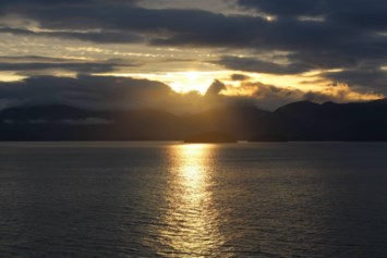 Obituary of Glenda Cox