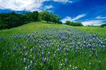 Obituary of Richard Daniel Greene