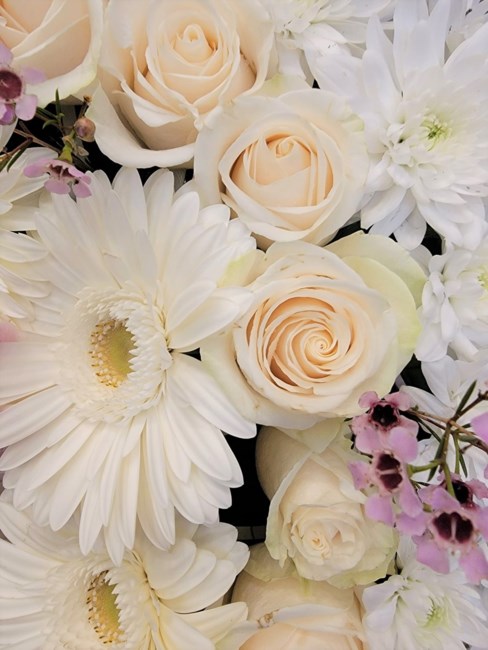 Obituary of Yim Fong Lee