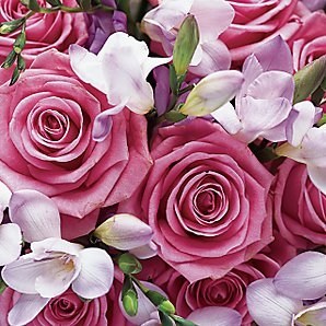 Obituary of Virginia Graf