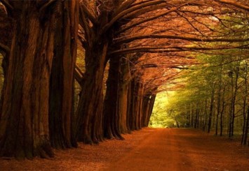 Obituary of John Keller