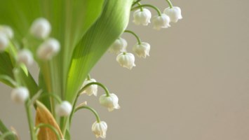 Obituary of Norma Kay Archard Marler Carpenter