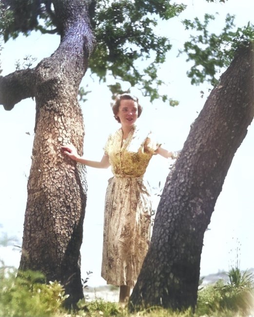 Obituary of Jappy Rau Meyer