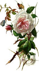 Obituary of Mary F. Torgerson