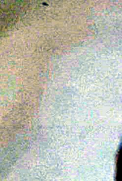 Virginia Beach Obituary - Charlotte, NC