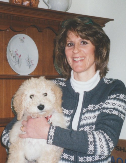 Obituary of Mary Lynn Vargo