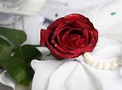 Obituary of Ginger Rae Burnette