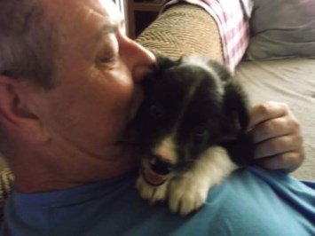 Obituary of Chris Lee McGuire