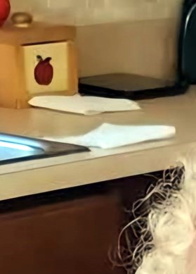 Judith Wikman Obituary Clearwater FL judith-wikman-obituary-clearwater-fl