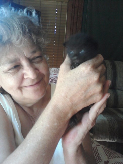 Obituary of Connie Sue Hubble